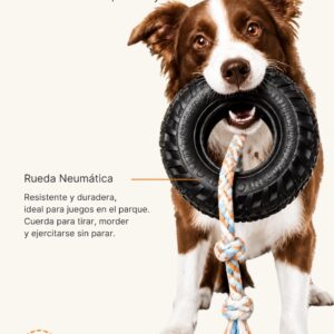 Rueda Neumática para Juegos