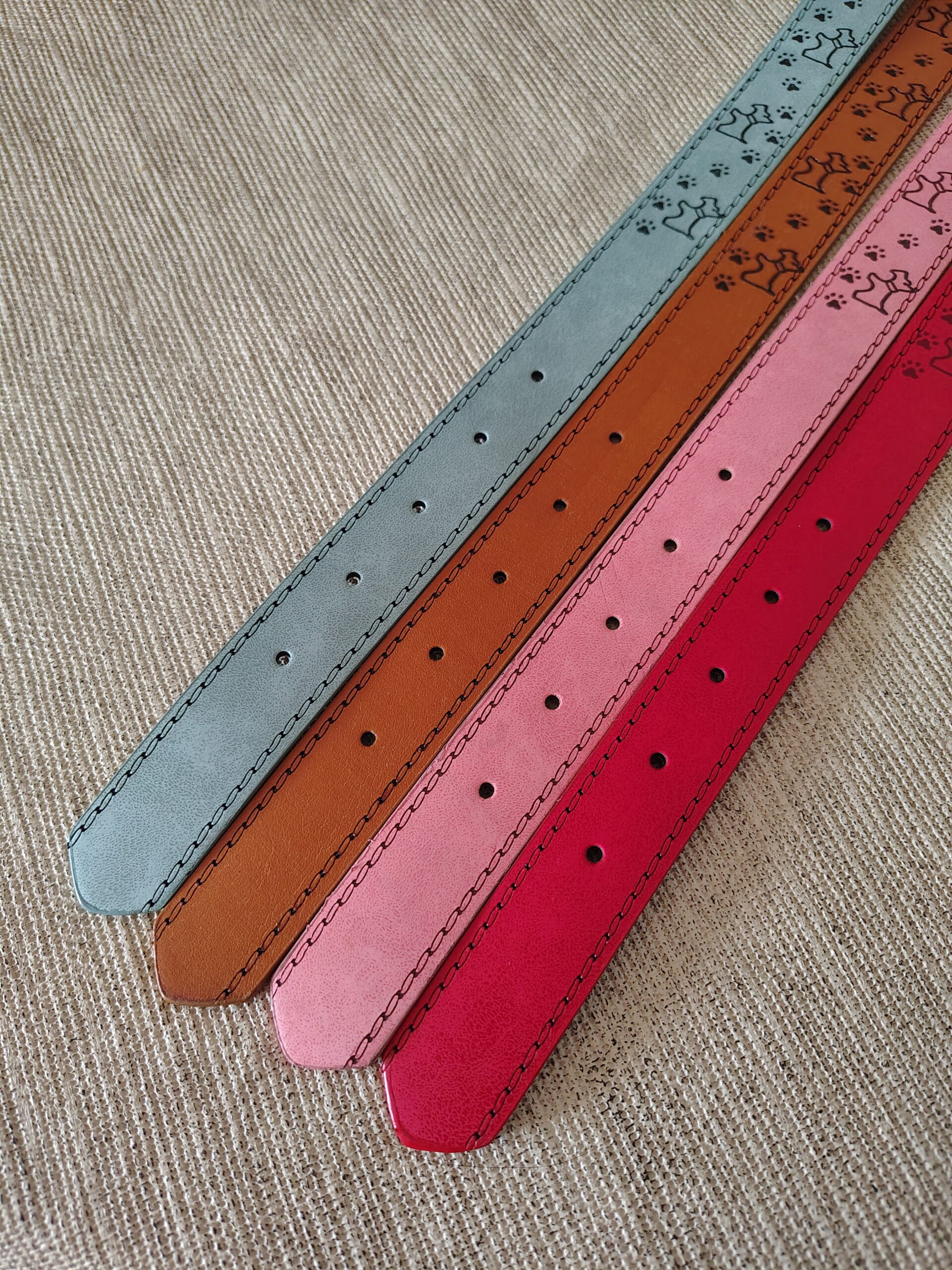 Collar para Perro Ajustable - Imagen 2