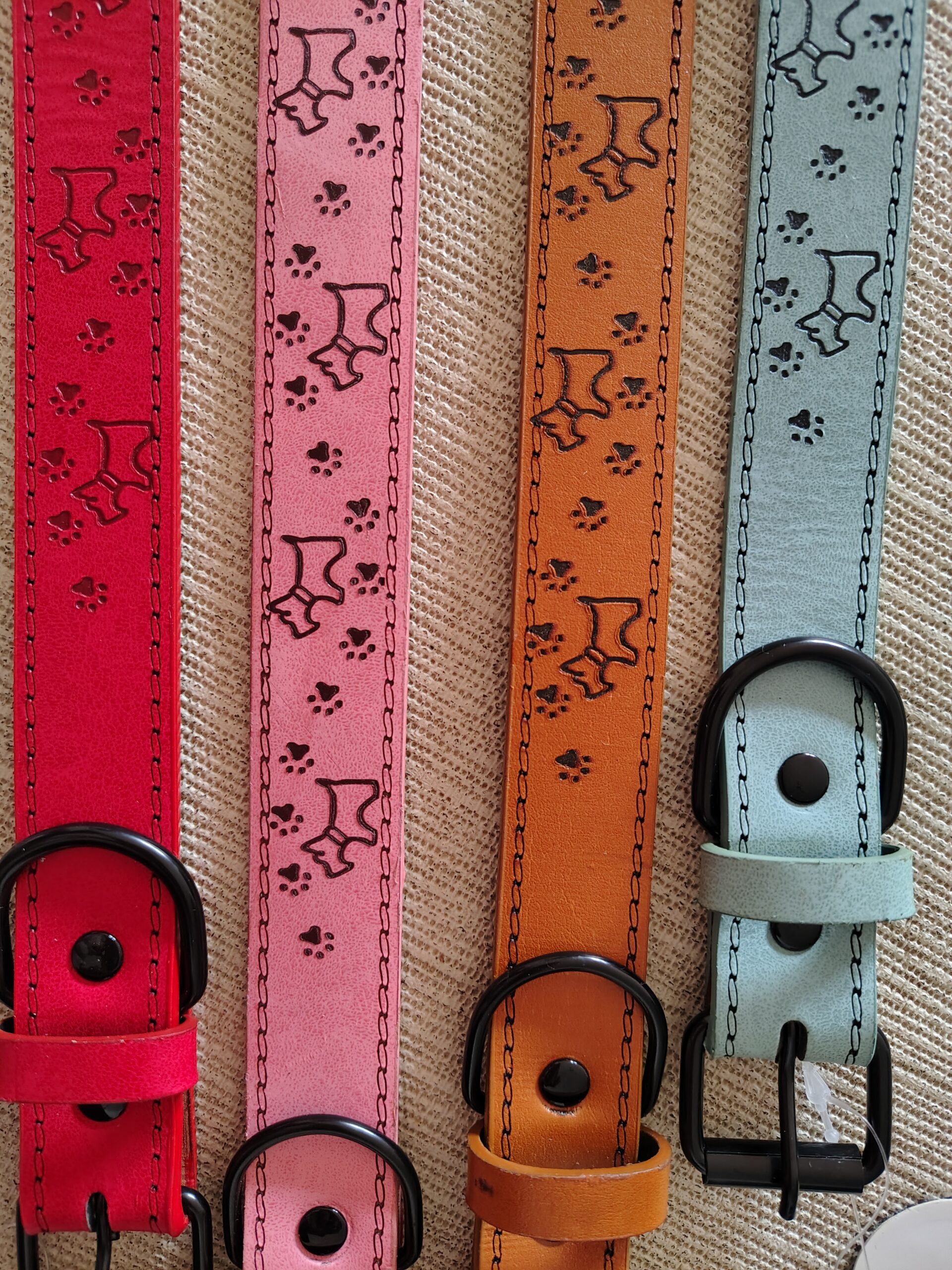 Collar para Perro Ajustable - Imagen 3